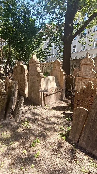 Prague Jewish Cards Illustration